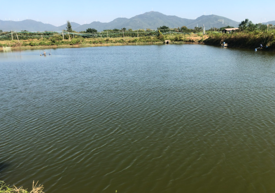 传统水产养殖与循环水养殖优缺点介绍(图2)